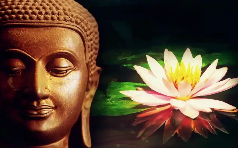 灵气音乐 身体和灵魂 治愈能量 禅莲花 消除负面情绪