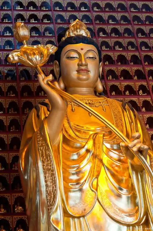 佛教是世界上重要的宗教之一