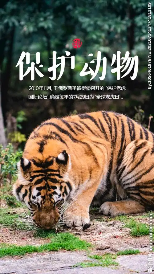 保护动物图片