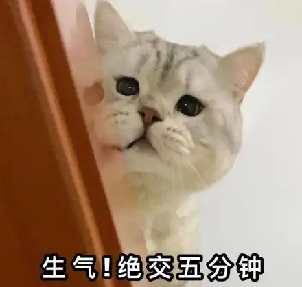 绝交五分钟 - 生气!绝交五分钟!我们和好吧_猫咪_撩妹撩汉表情-发表情