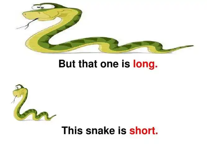 this snake is short.