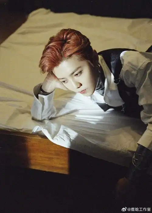 鹿晗超话lh#歌手鹿晗#【20231129—工作室ins更新一则】"919191