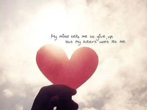 【科大解密篇】细数那些你可能不知道的真相