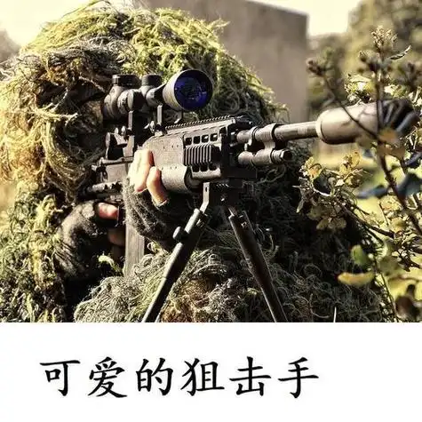 可爱的狙击手头像