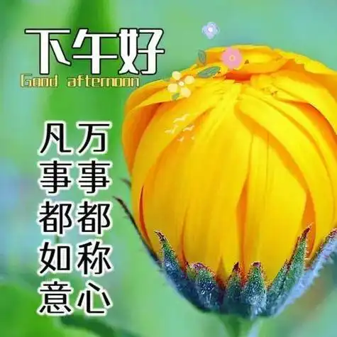 下午图片大全下午好图片最新版下午好问候下午好祝福祝健康幸福