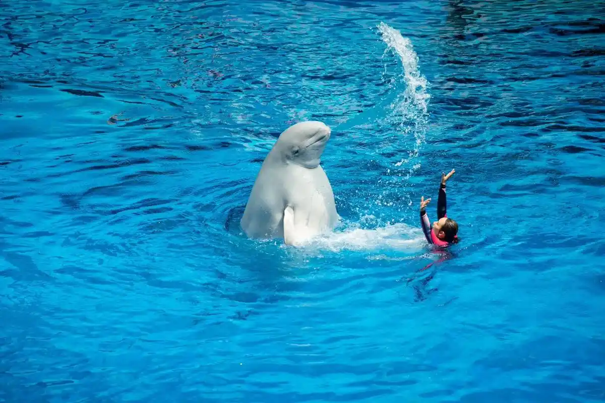 每个暑假都会去玩的好地方～看海洋动物 - 抖音