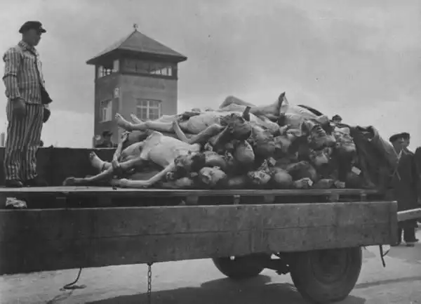 德国纳粹集中营惨烈屠杀照片