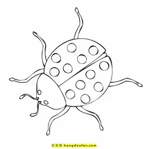 10张5到10岁孩子最喜欢的昆虫手绘卡通简笔画-红豆饭小学生简笔画大全