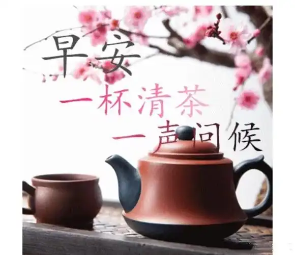 早安,一杯清茶,一声问候
