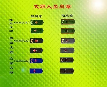 如何识别文职官兵的肩章