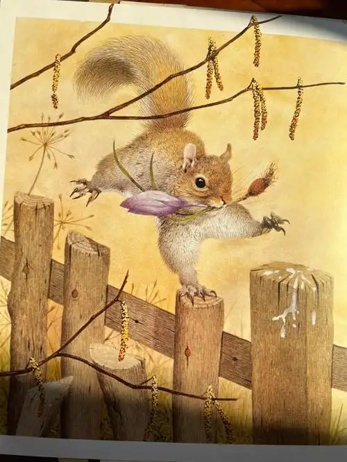 92想找一些秋天主题的绘本,找出这本1981年出版的小松鼠,绘本封面很