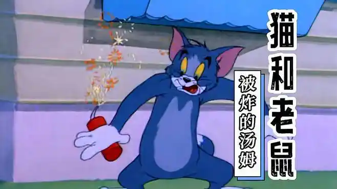 猫和老鼠:被炸的汤姆猫,老鼠虽小但智慧满满,小鼠实在是太机智