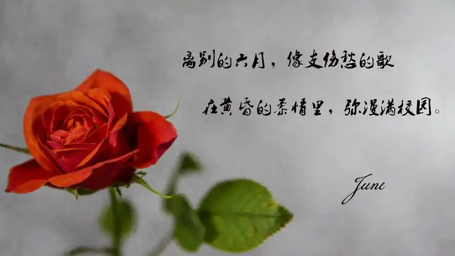 感人的毕业离别文艺短句子图片