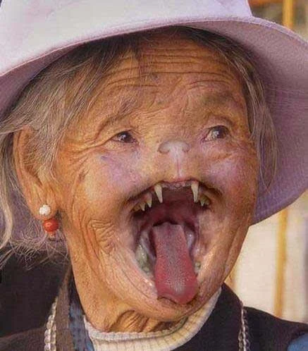 震惊中央?揭秘真实的黑龙江猫脸老太太事件