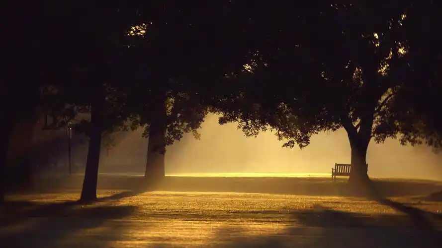 唯美孤独伤感桌面壁纸