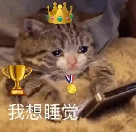 我想睡觉(熬夜冠军猫咪表情包)_我想_猫咪_熬夜_冠军表情