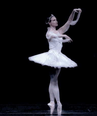 403_480gif 动态图 动图