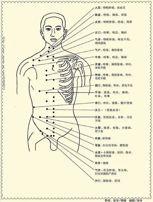 各个人体穴位的具体位置及主治疾病详解