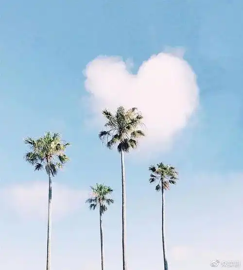 2021微信早安潮流语录精致唯美触动心灵