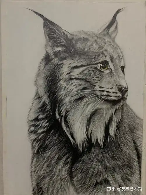 上瘾的精微素描