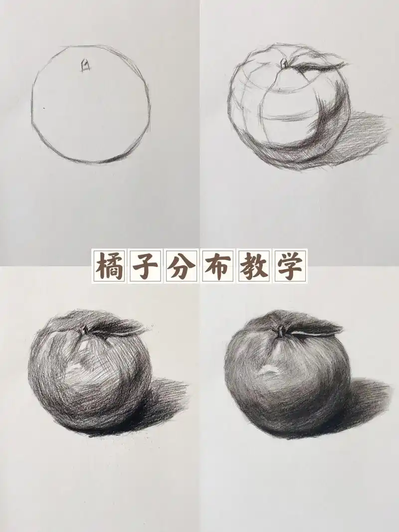 橘子分布教学.#图文伙伴计划 #素描 #一起学画画 #零基础 - 抖音