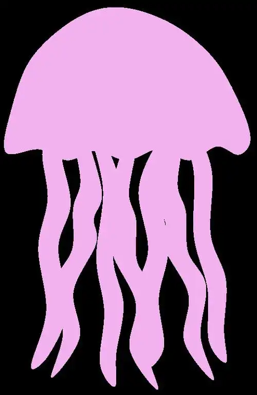 水母的剪影