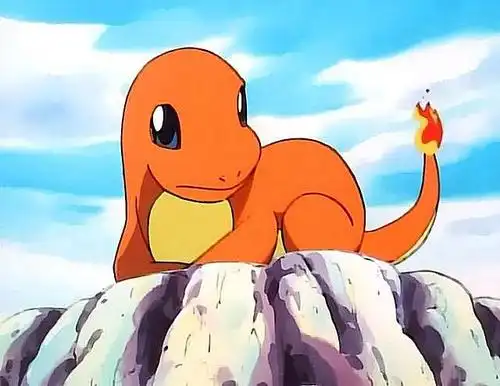 神奇宝贝:被抛弃的小火龙真可怜,尾巴的火苗就代表着生命力?