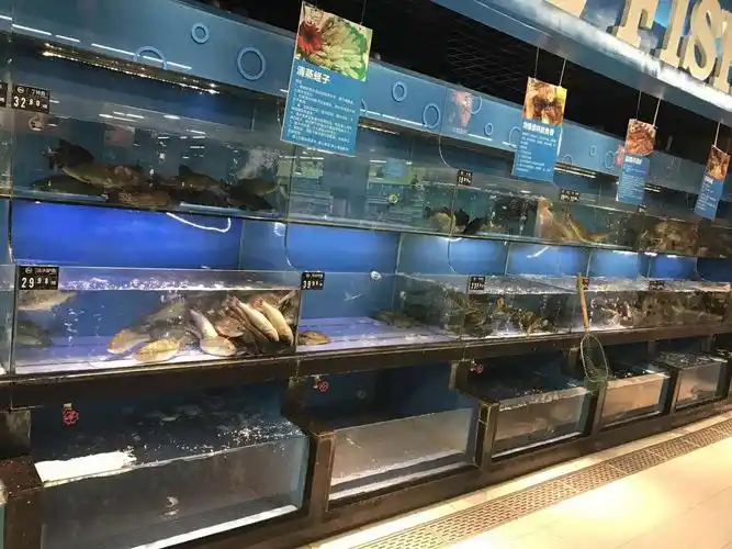独家直击北京各大超市今起销售活鱼现场