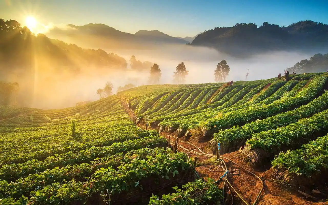 日出美景图片高清电脑壁纸