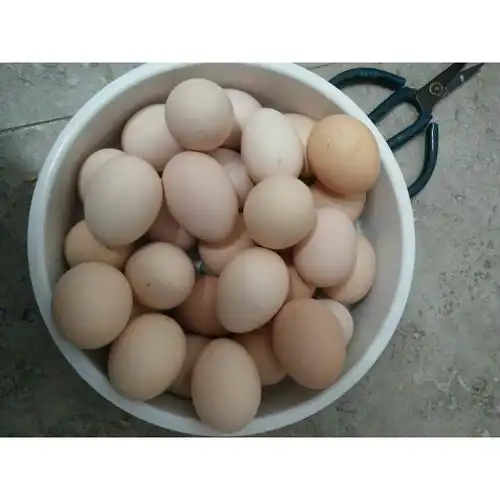 【武汉馆】散养土鸡蛋 30枚装宝宝辅食 正宗农家散养老母鸡蛋【中华