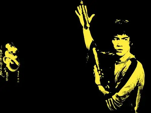 描述: 李小龙-功夫巨星40周年纪念壁纸 当前壁纸尺寸: 1152 x 864