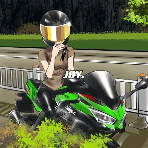 机车头像kawasaki川崎ninja400