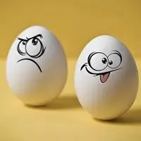 最有创意可爱个性 超搞笑 伤感鸡蛋图片