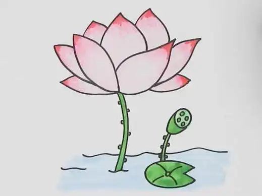 荷花怎么画简笔画_简笔画图片大全 - 元艺考