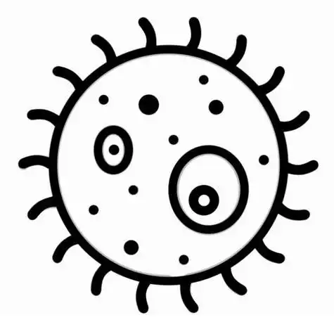 细菌的简笔画细菌的简笔画q版