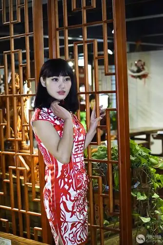 今古堂红木家具旗袍人像作业2