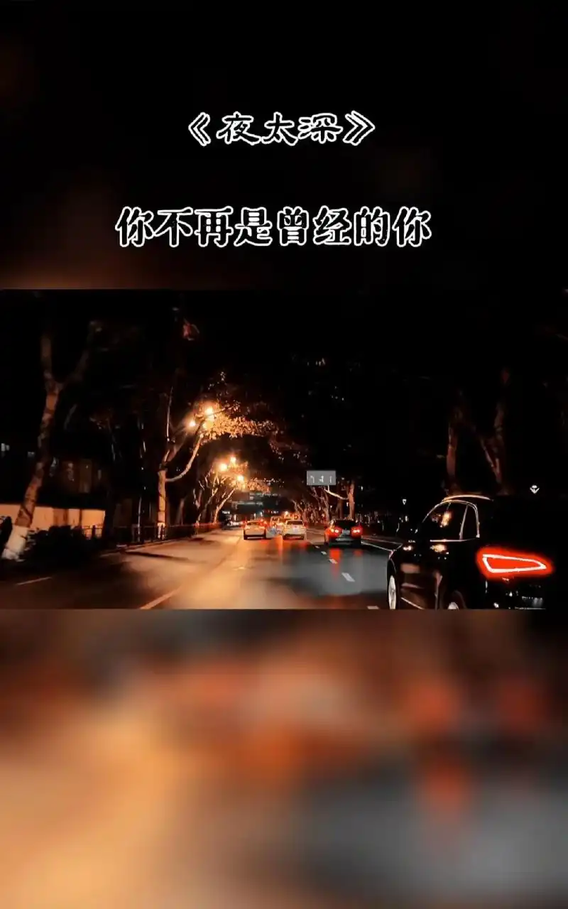 向来情深,奈何缘浅…… 往后浅望幸福 不写忧伤 不道惆怅 余 - 抖音