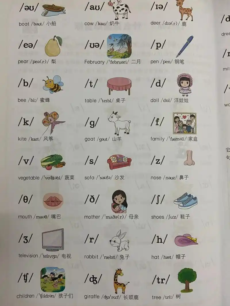 48个国际音标 学音标最省力的方法—用学习过的单词来记音标