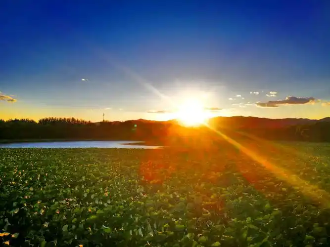 夕阳下凉风习习的暖色调