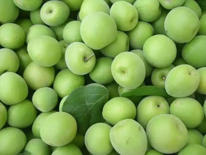 aseptic concentrates fruits flavour vatica astrotrich