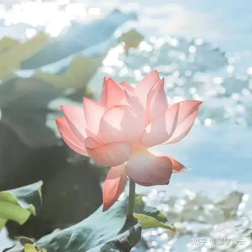 微信头像会影响第一印象吗?