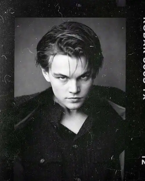 年轻的莱昂纳多