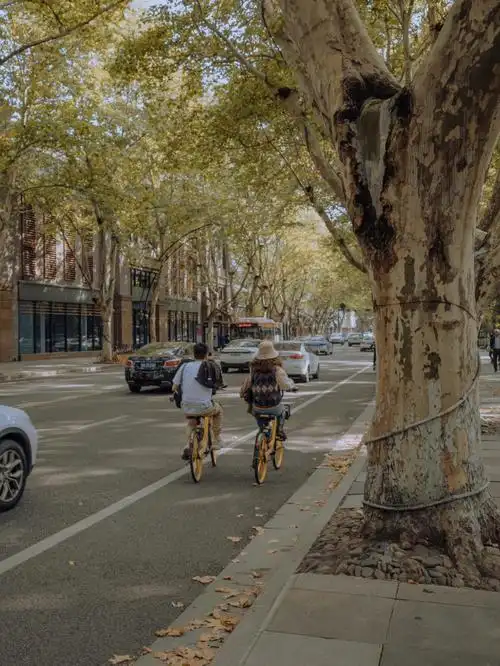 杭州南山路天下第一好看