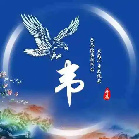 雄鹰励志姓氏头像64张历尽沧桑欲何求只为一生不低头