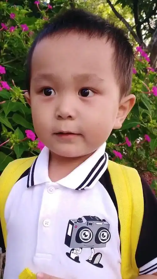 撒贝宁五岁小神童王恒屹堪称行走的小诗词库