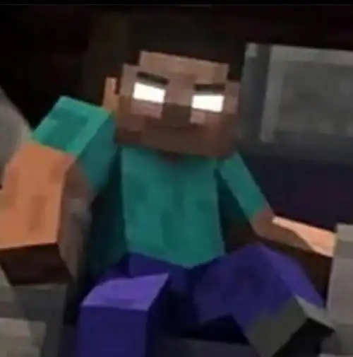 我的世界之吾王him