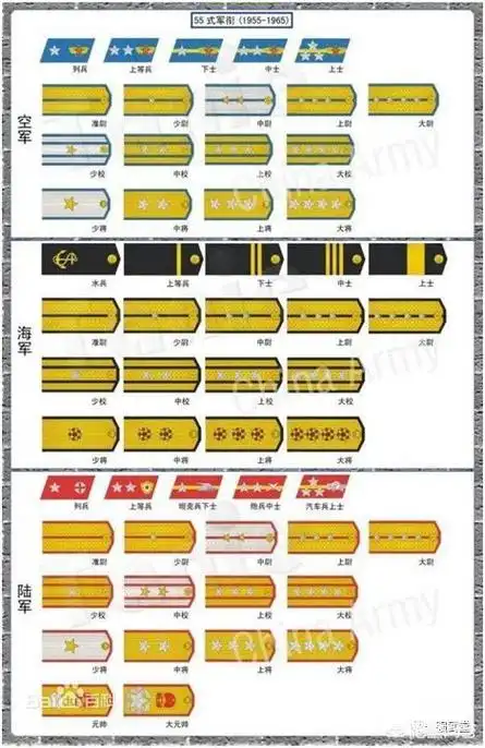 将军是什么级别 现在什么级别算将军插图