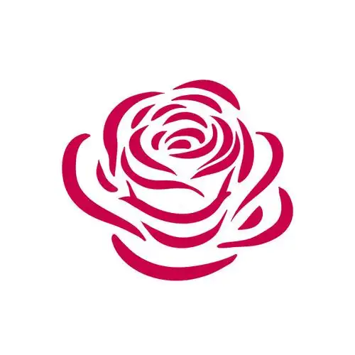 单茎玫瑰,分离着色,华丽的,自然,花朵正版矢量图素材下载