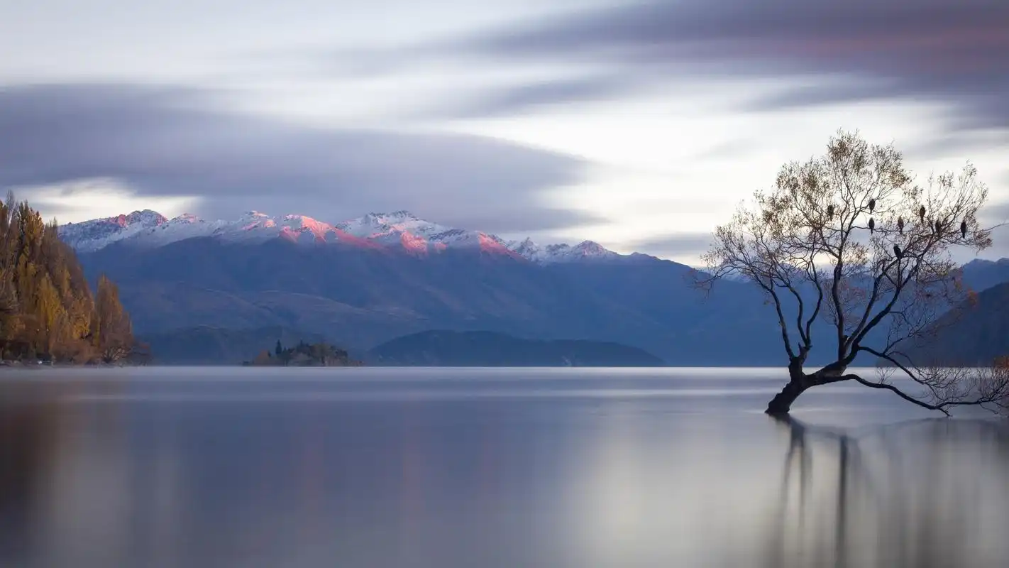 瓦纳卡湖风景摄影高清宽屏桌面壁纸