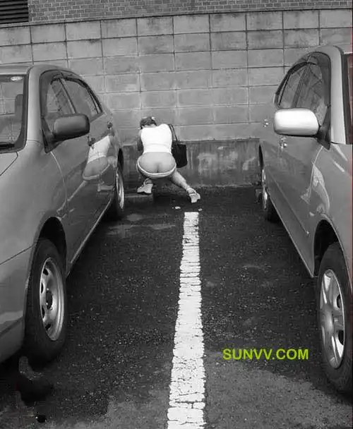 讲述厕所n个超强场景